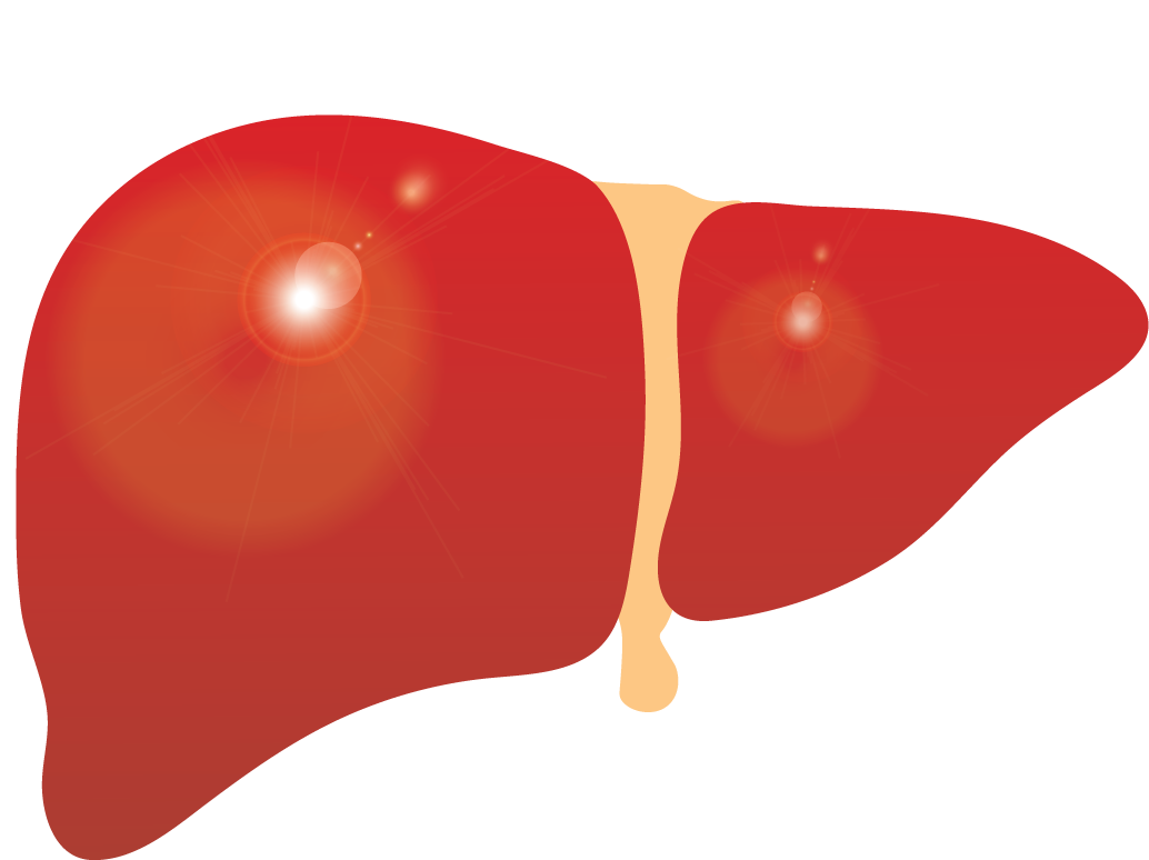 A Liver With A Yellow Spot On It