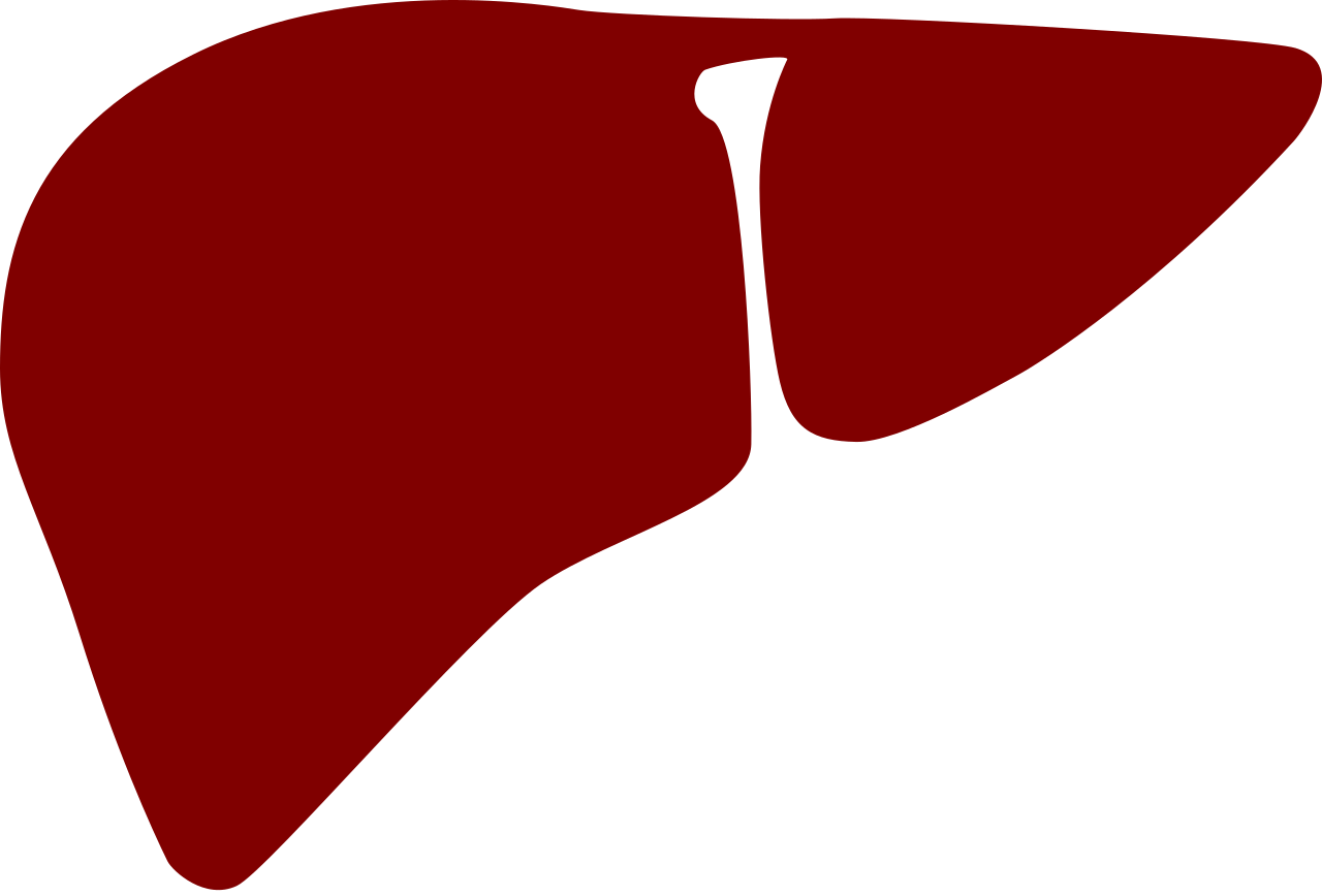 A Red And Black Liver