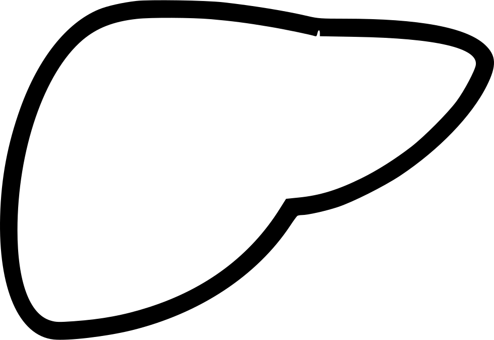 A Black Outline Of A Liver