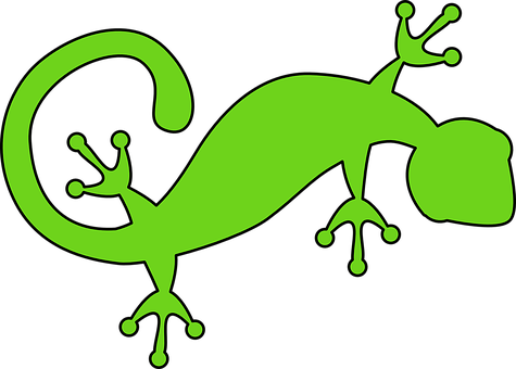 A Green Lizard On A Black Background