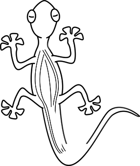 A White Lizard With Black Background