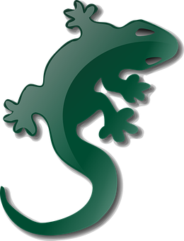 A Green Lizard With Black Background