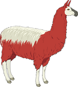 A Red And White Llama