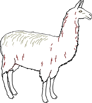 A White Llama With Red Lines