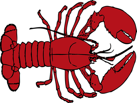 A Red Lobster With A Black Background