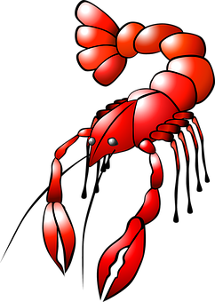 A Red Lobster With A Tail