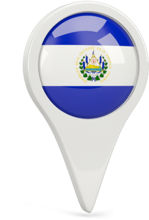 A White Pin With A Blue And White Flag