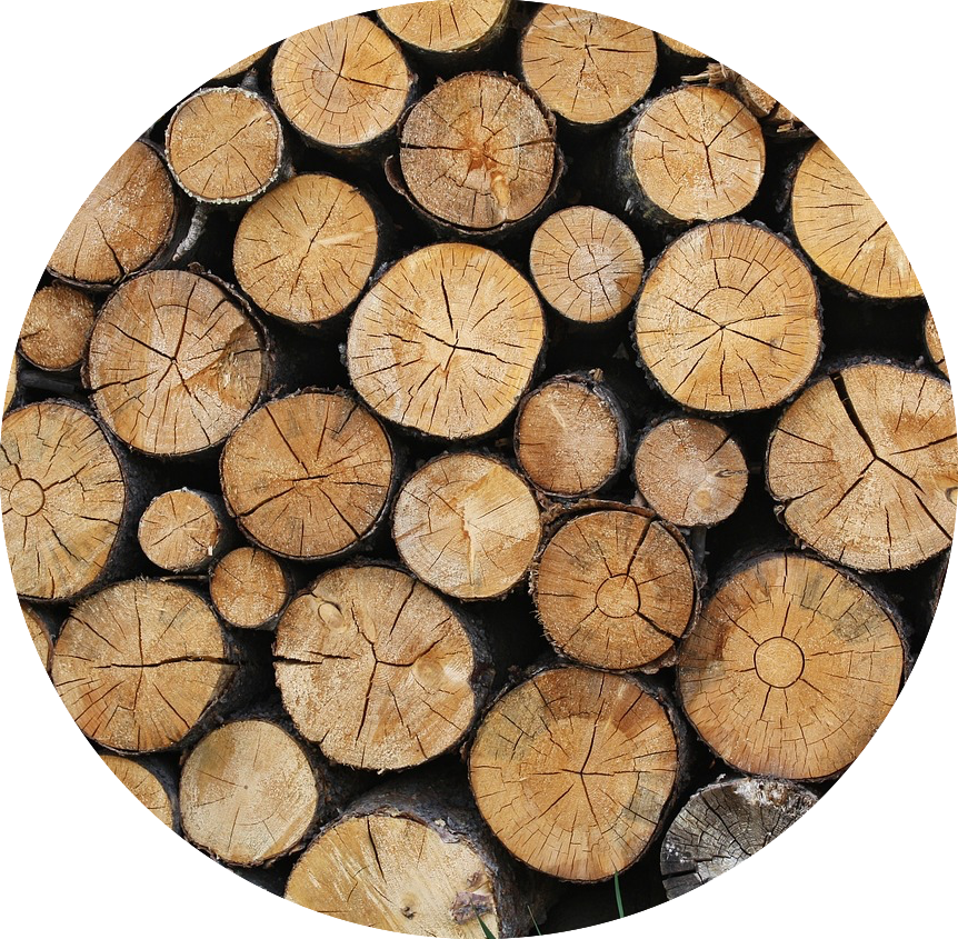 A Pile Of Cut Logs