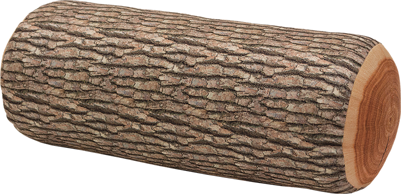 A Log With A Black Background