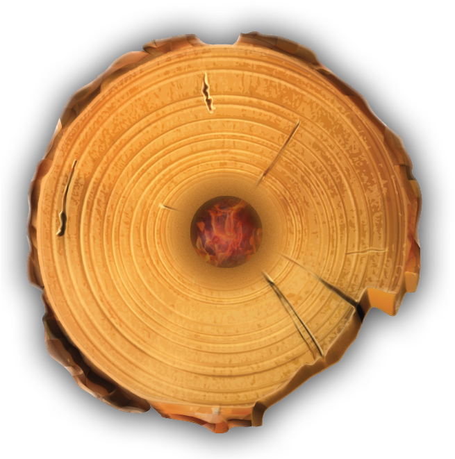 A Close Up Of A Tree Stump