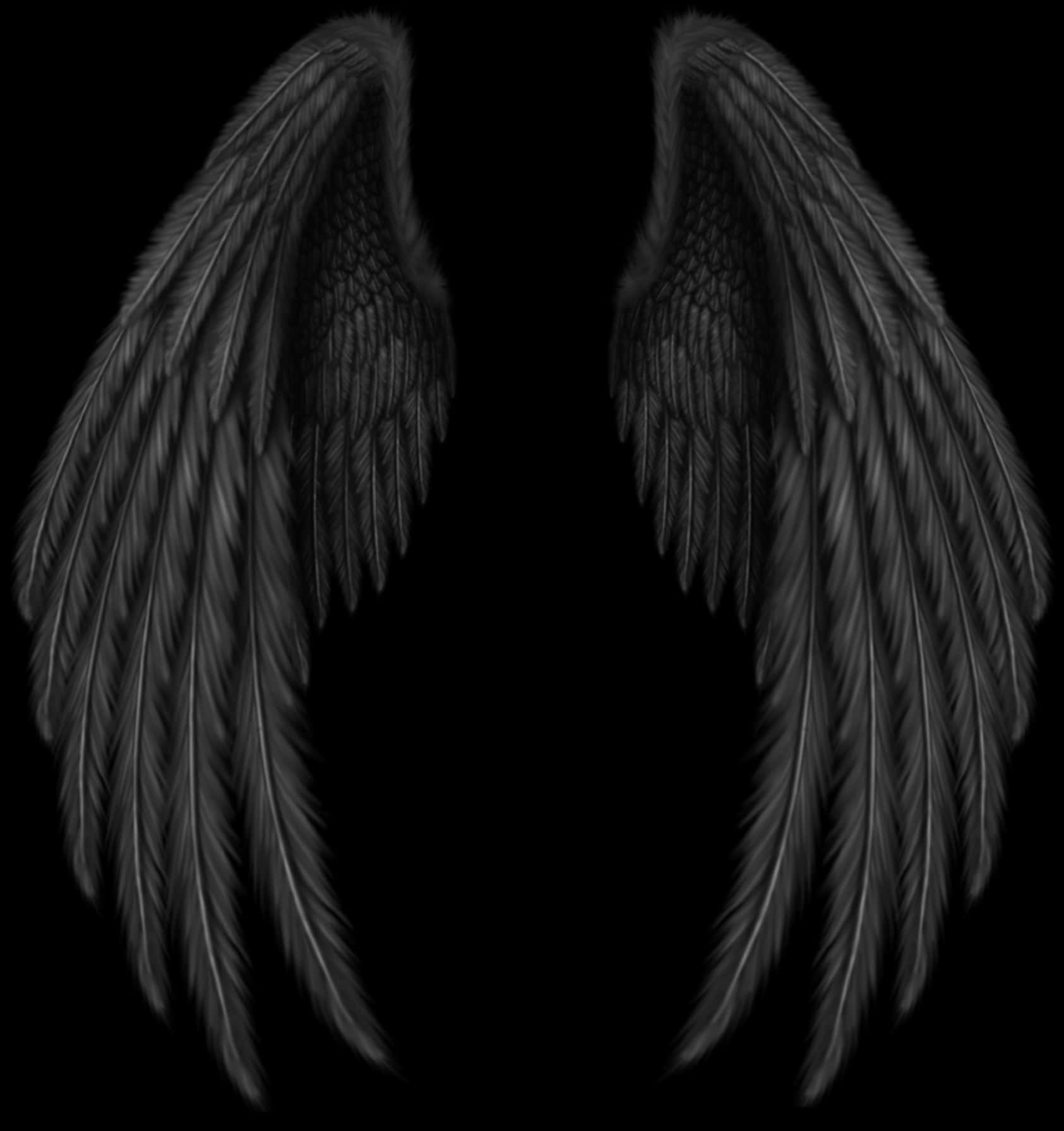 A Black Wings On A Black Background