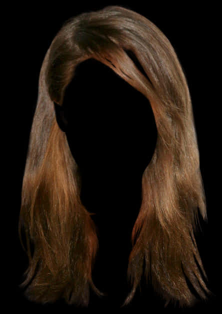 A Person's Head With Long Hair