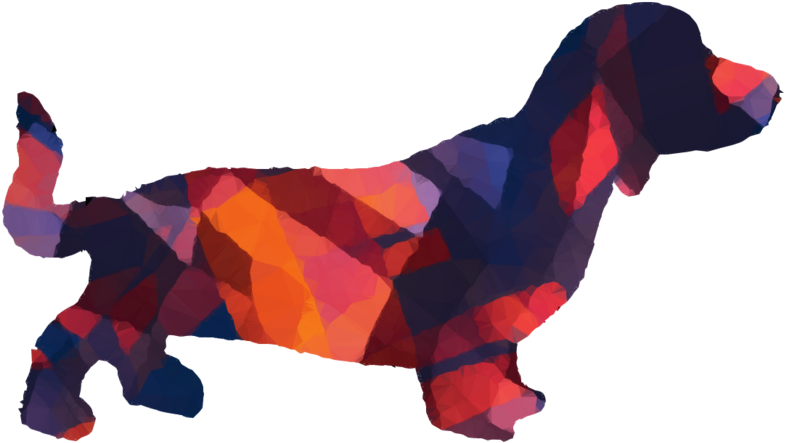 A Colorful Dog With Black Background