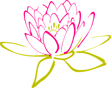 A Pink And Yellow Flower