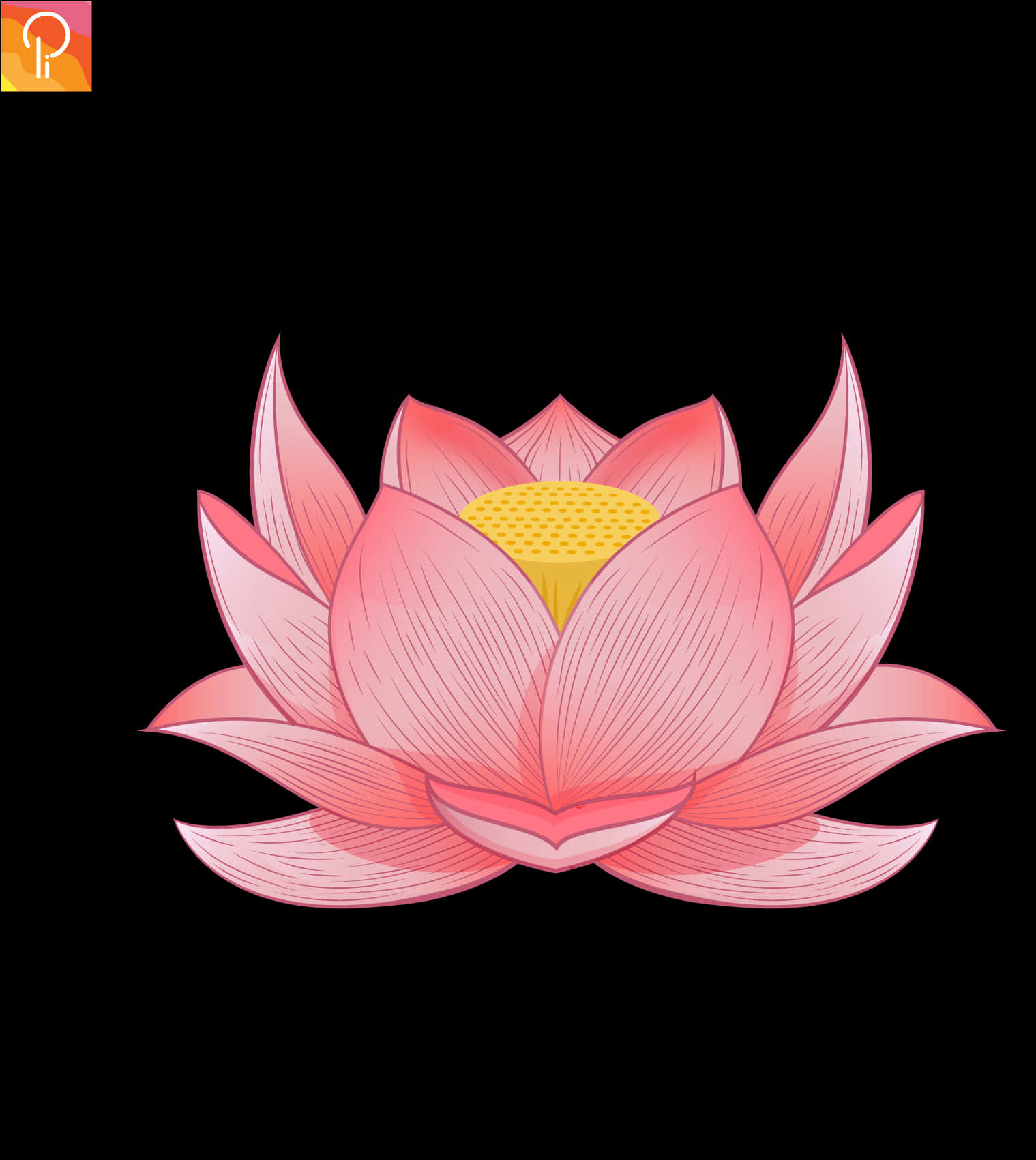 Lotus Vector - Lazy Placeholder - Lotus Vector - Lotus Vector, Hd Png Download