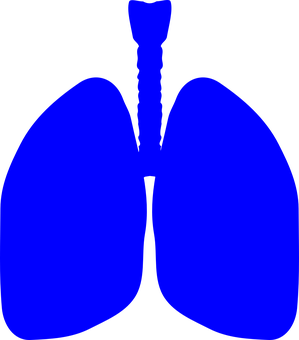A Blue Lungs With A Black Background
