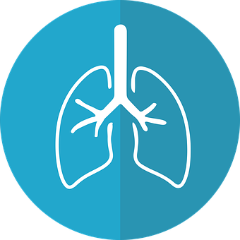 A Blue Circle With White Lungs