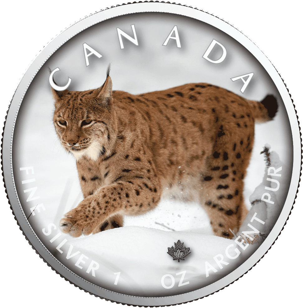 A Silver Coin With A Lynx On It