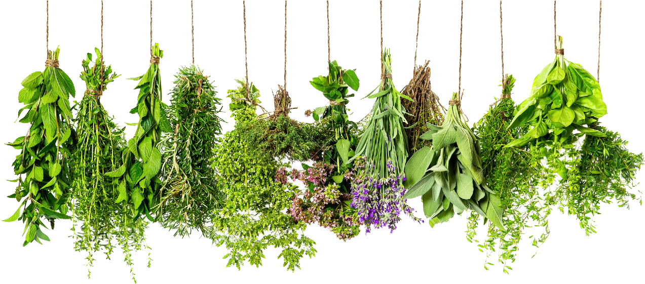 A Group Of Herbs From Strings