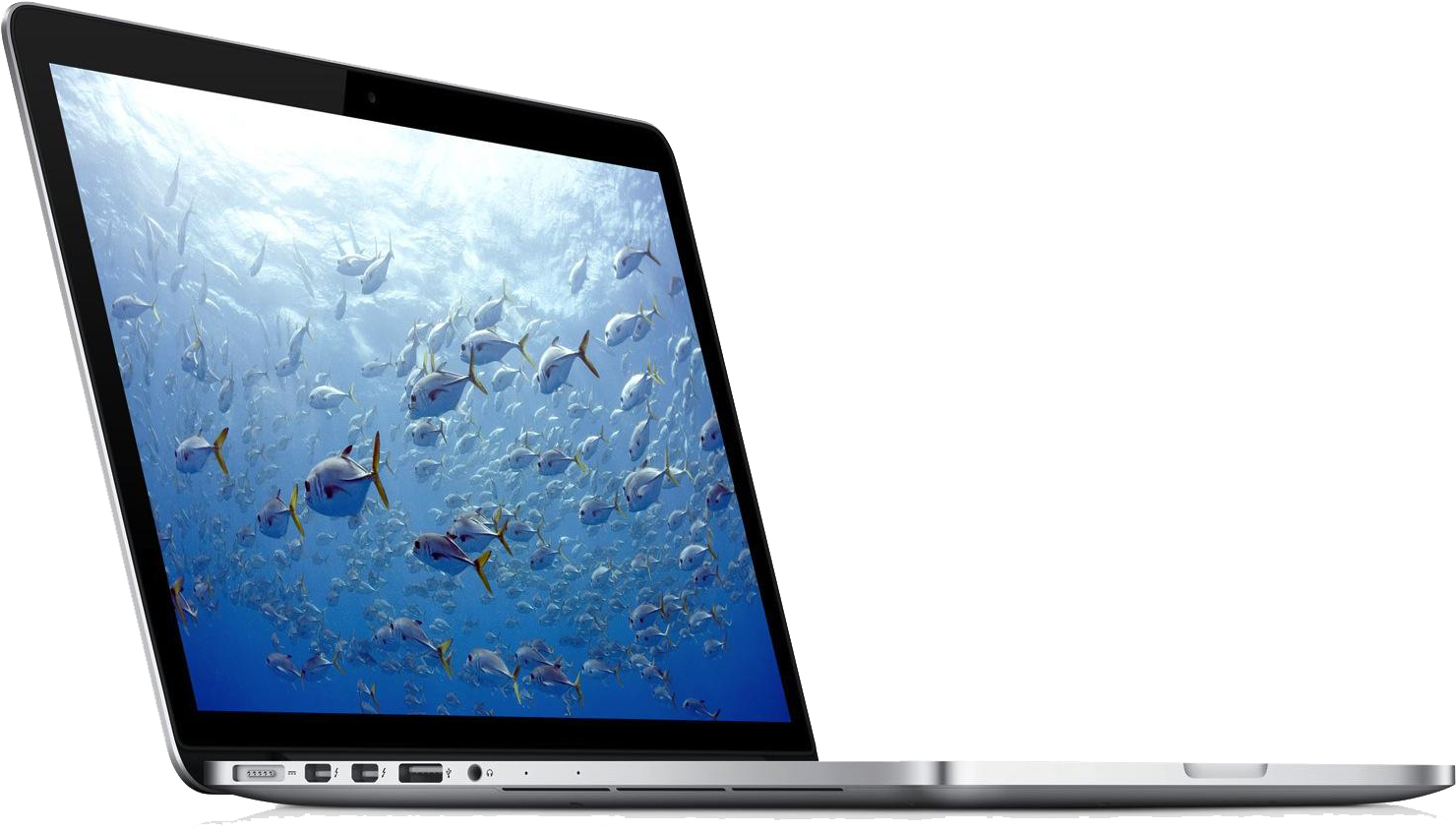 A Laptop With A School Of Fish