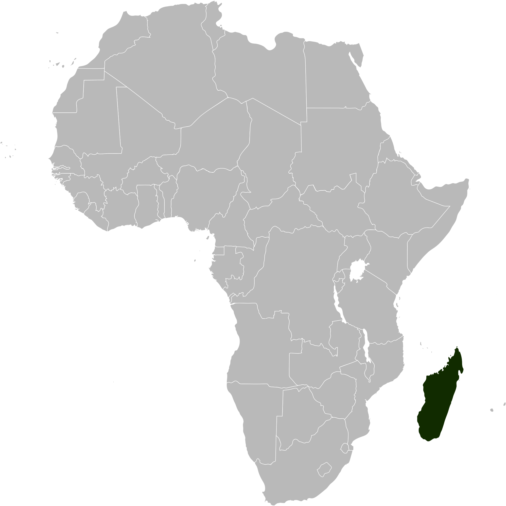 Madagascar Png 1995 X 1993