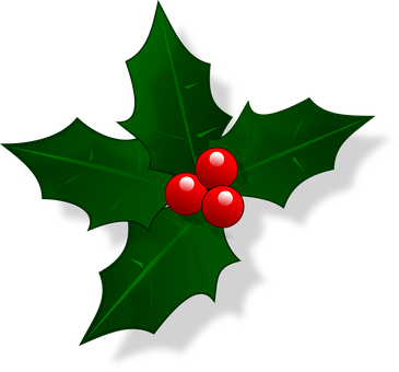 A Green Leafy Plant With Red Berries