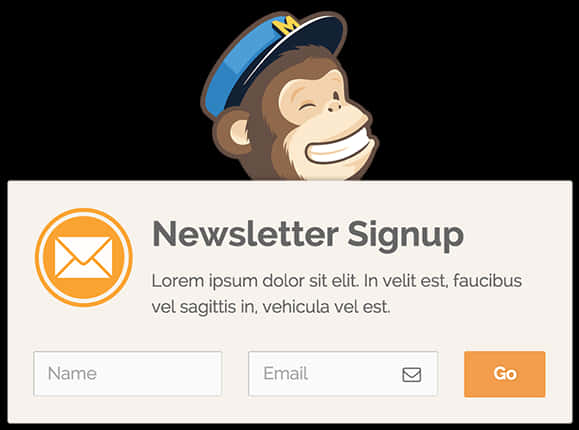 Mailchimp Logo Behind Newsletter Signup