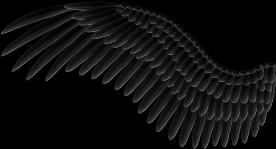 A Black And White Image Of A Bird Wing