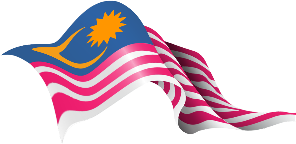 A Flag With A Sun And A Blue And Pink Stripe