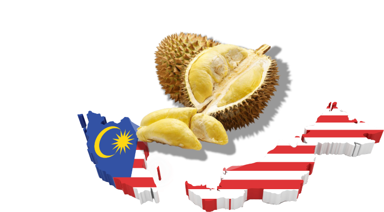 A Durian And A Map Of Malaysia