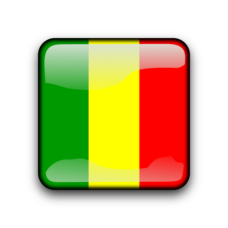 A Square Icon With A Flag