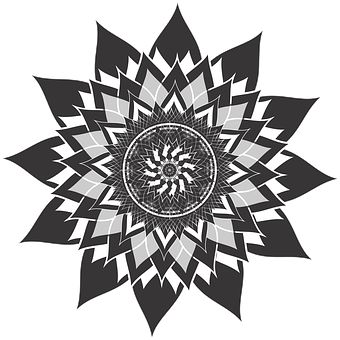 A Black And White Flower