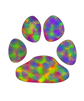 A Colorful Paw Print On A Black Background