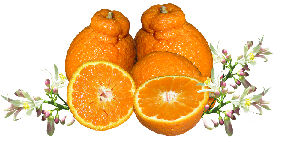 A Group Of Oranges With Flowers And Leaves