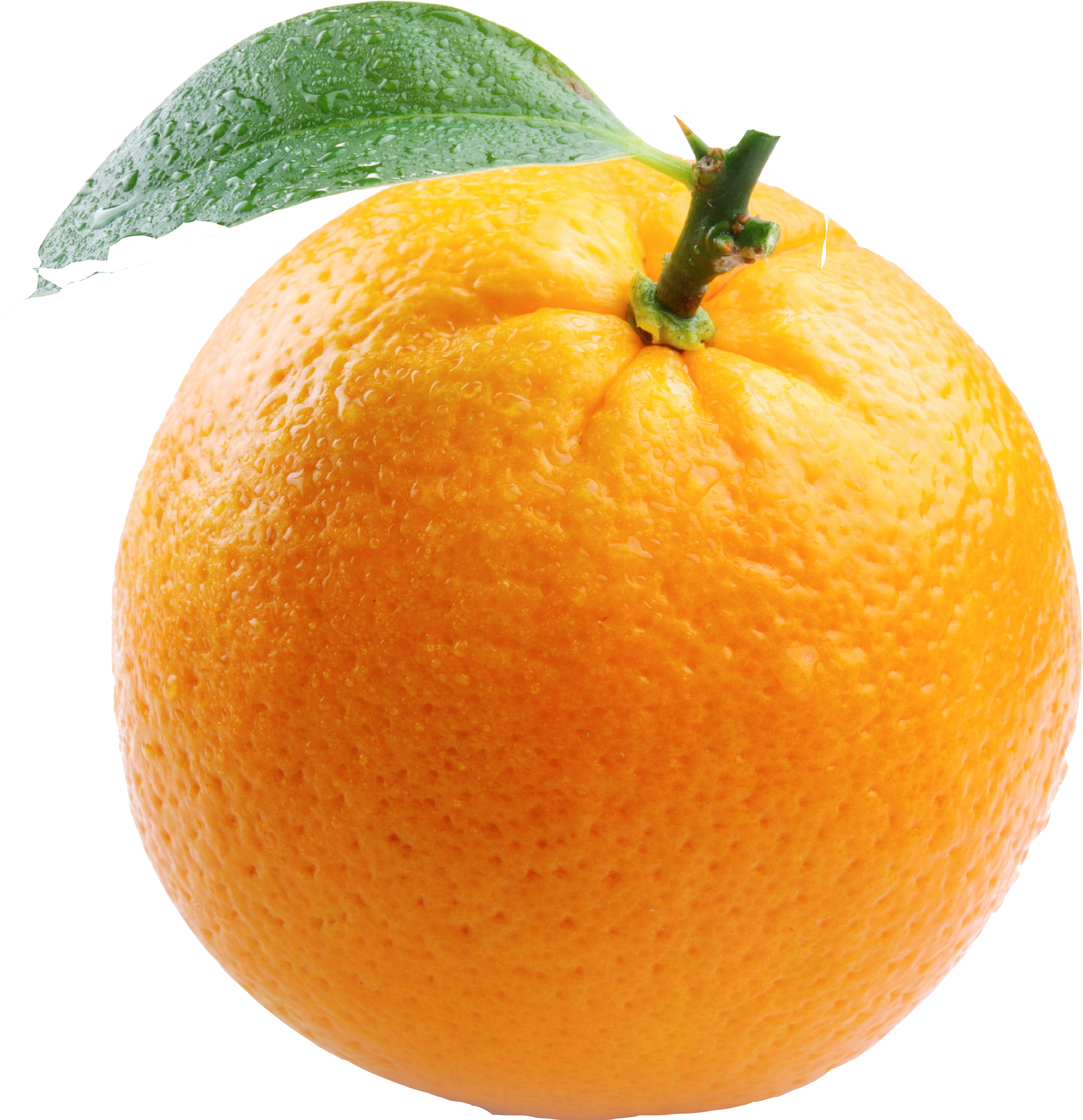 A Close Up Of An Orange