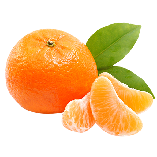 A Whole Orange With Slices Of Orange