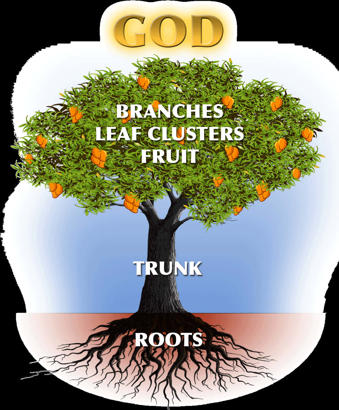 A Tree With Fruits And Roots