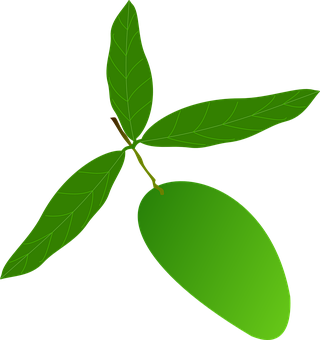 A Green Leaf On A Branch