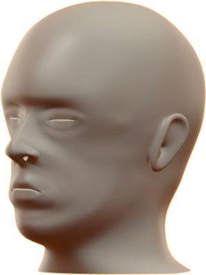 A Close Up Of A Head