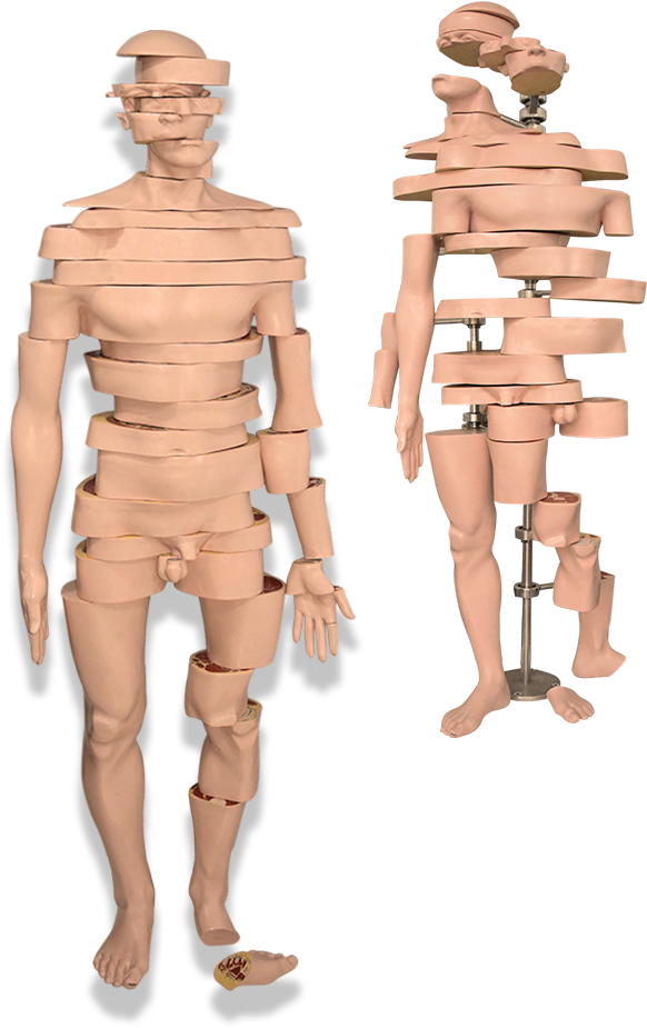 A Mannequins With Multiple Parts