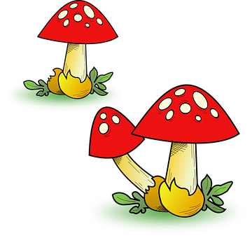 A Red And Yellow Mushrooms