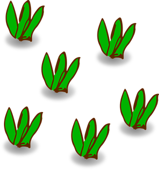 A Group Of Green Leaves On A Black Background