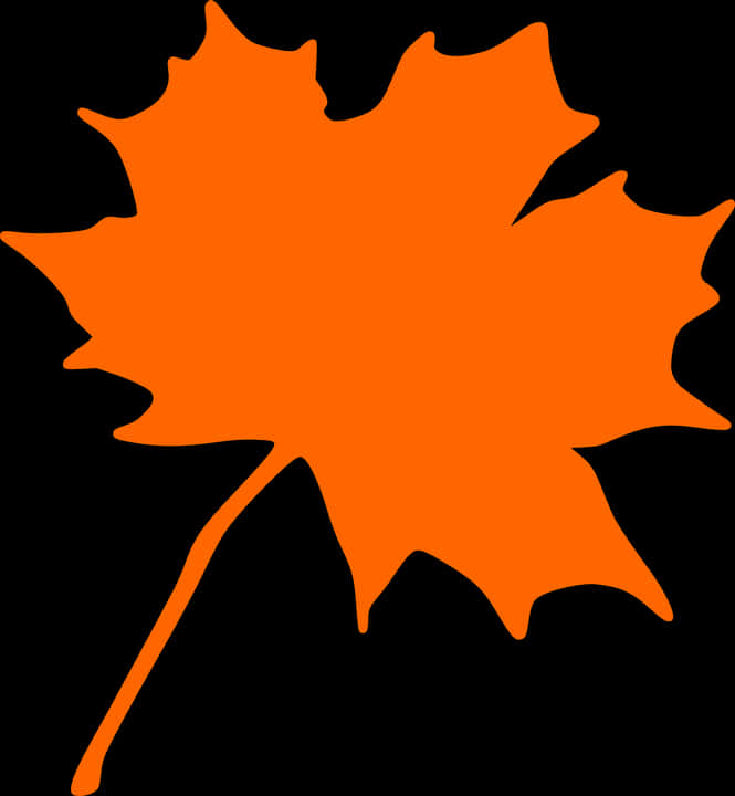 An Orange Leaf On A Black Background