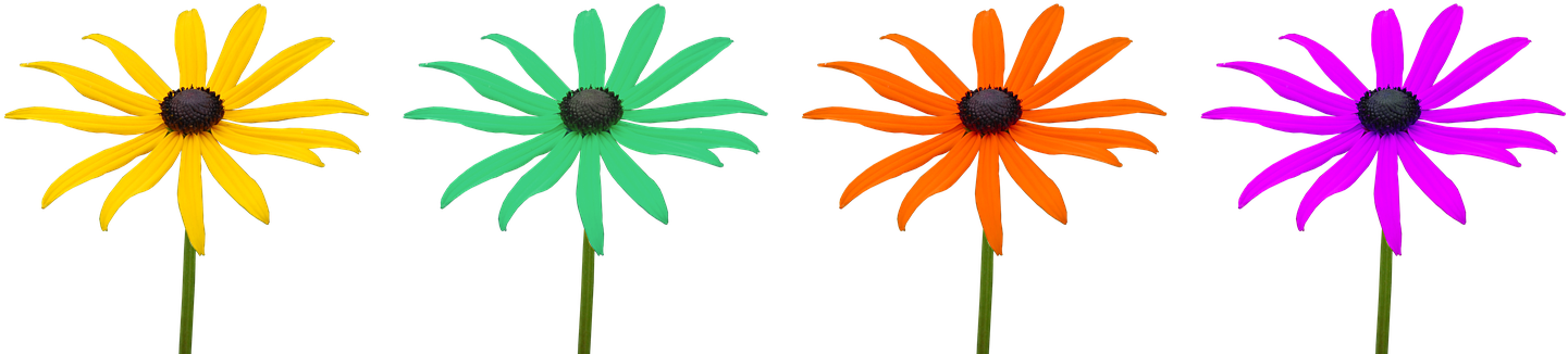 A Green And Orange Flowers