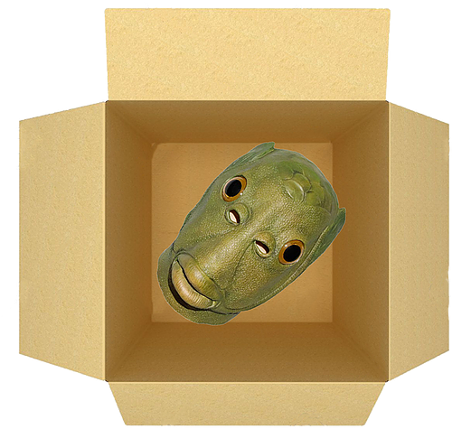 A Box With A Mask