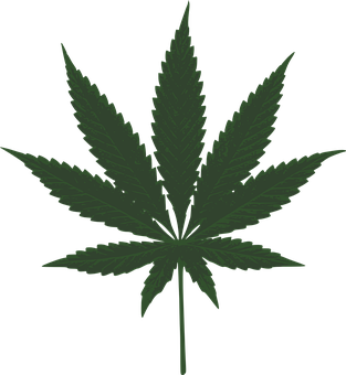 Marijuana Png 313 X 340