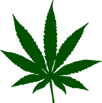 Marijuana Png 338 X 340