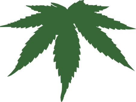 Marijuana Png 452 X 340