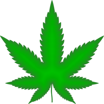 Marijuana Png 340 X 340