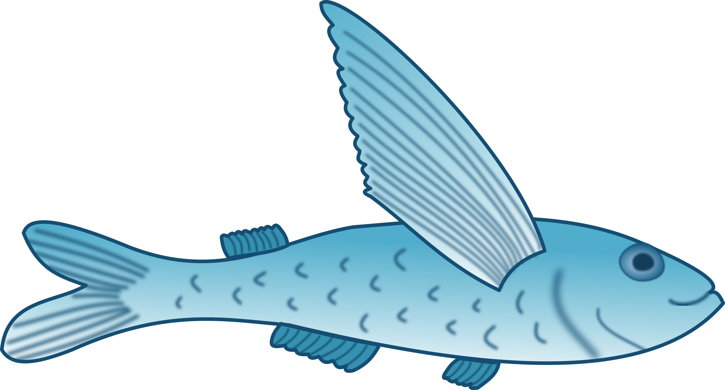 Marine Biology,organism,seafood - Fish With Fin Clipart, Hd Png Download